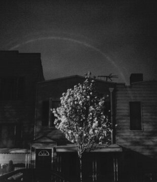 Open City - Hands In The Honey Jar - LP-GBR-157C - Vinyl LP (NEW)