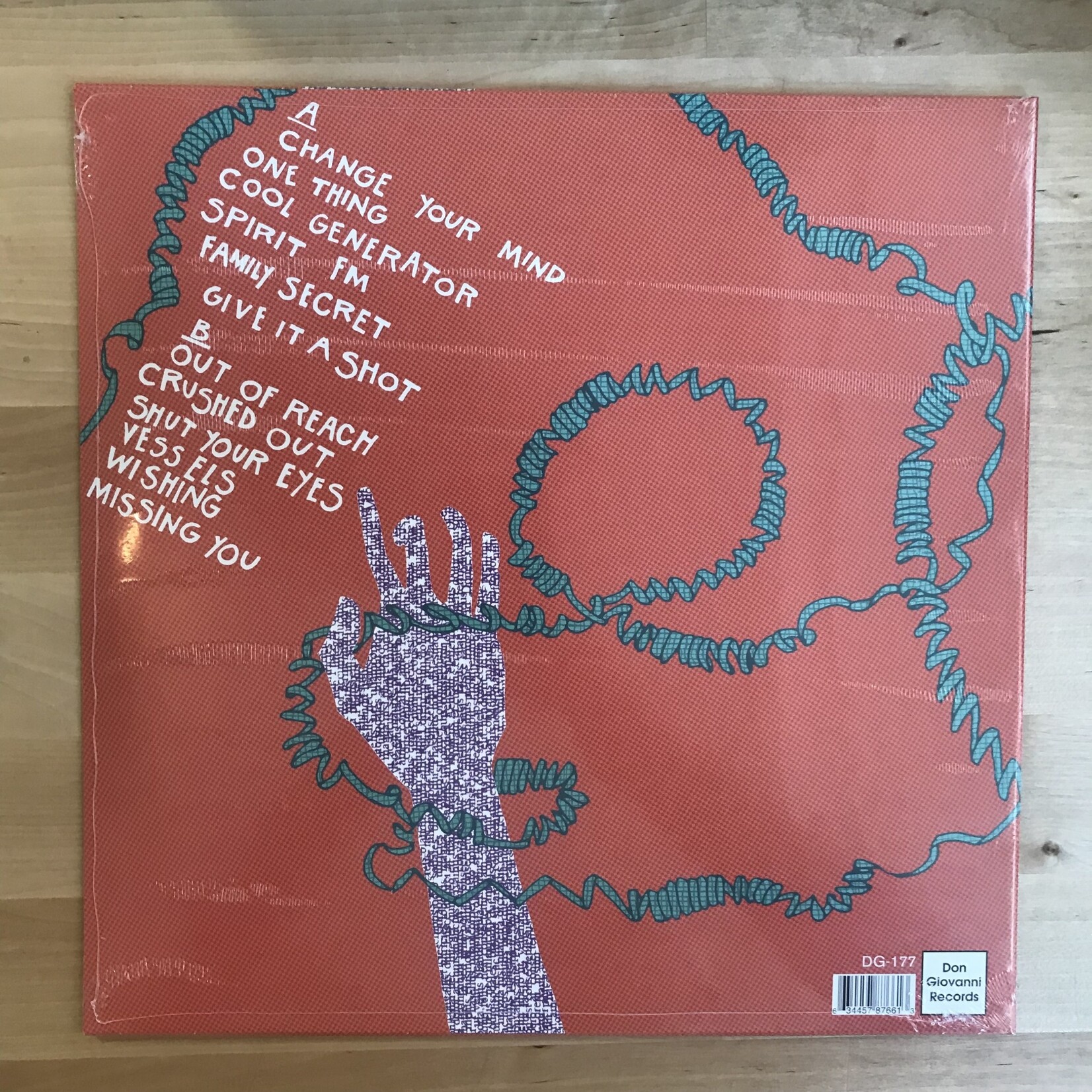 Bad Moves - Tell No One - DG177 - Vinyl LP (NEW)