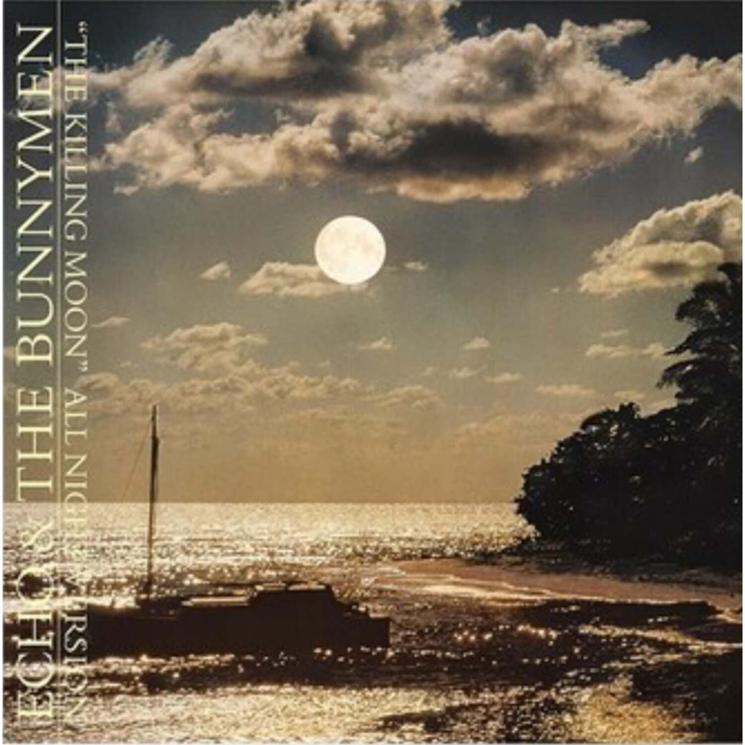 Echo & The Bunnymen - Killing Moon (RSD) - RHI238627 - Vinyl 12