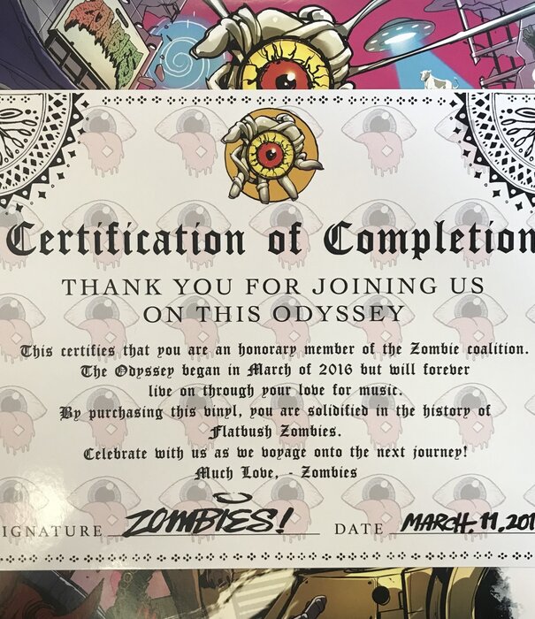 Flatbush Zombies - 3001: A Laced Odyssey (PINK W/ INSERTS) - Vinyl (USED)