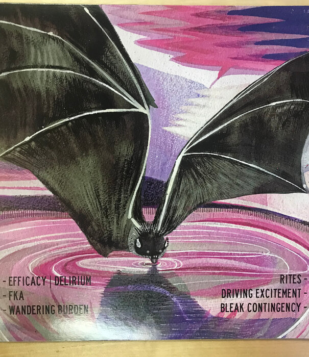 Black Hole Kids - Easy Masks - SC0012 - Vinyl 12-Inch Single (USED)