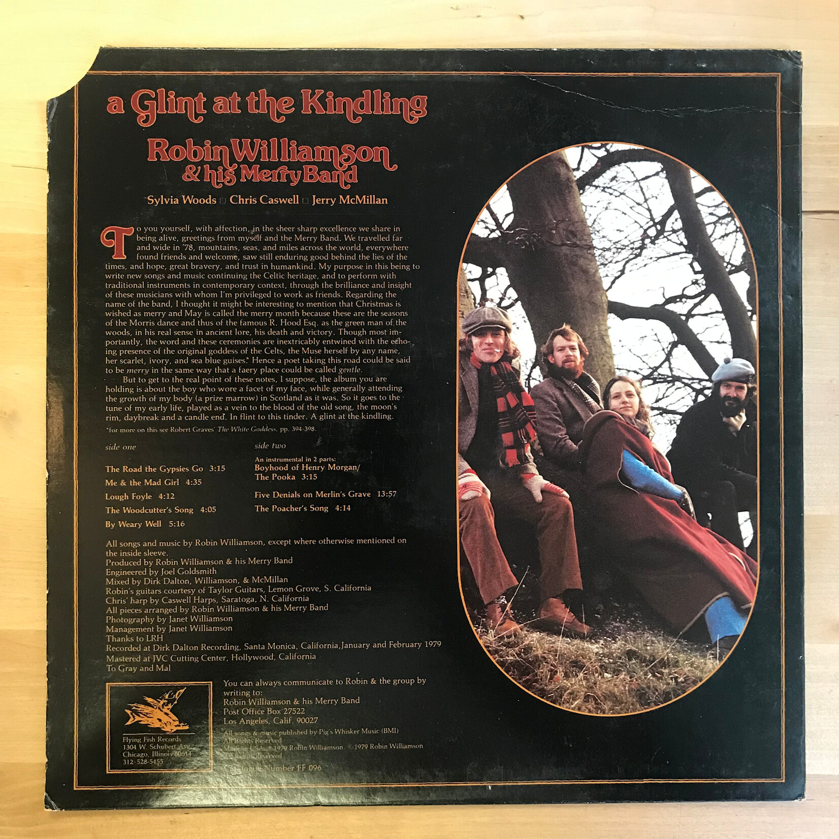 Robin Williamson & His Merry Band - A Glint In The Kindling - 096 - Vinyl LP (USED)