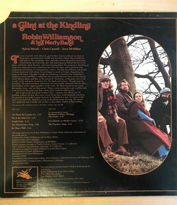 Robin Williamson & His Merry Band - A Glint In The Kindling - 096 - Vinyl LP (USED)