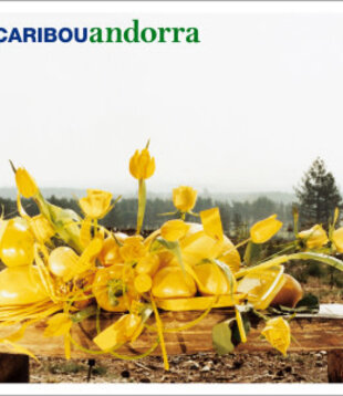 Caribou - Andorra - MRG308 - Vinyl LP (NEW)