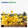 Caribou - Andorra - MRG308 - Vinyl LP (NEW)