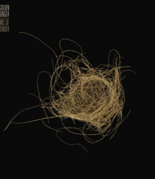 Hiss Golden Messenger - Terms Of Surrender - MRG675 - Vinyl LP (NEW)