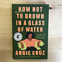 Angie Cruz - How Not To Drown In A Glass Of Water - Paperback (NEW)
