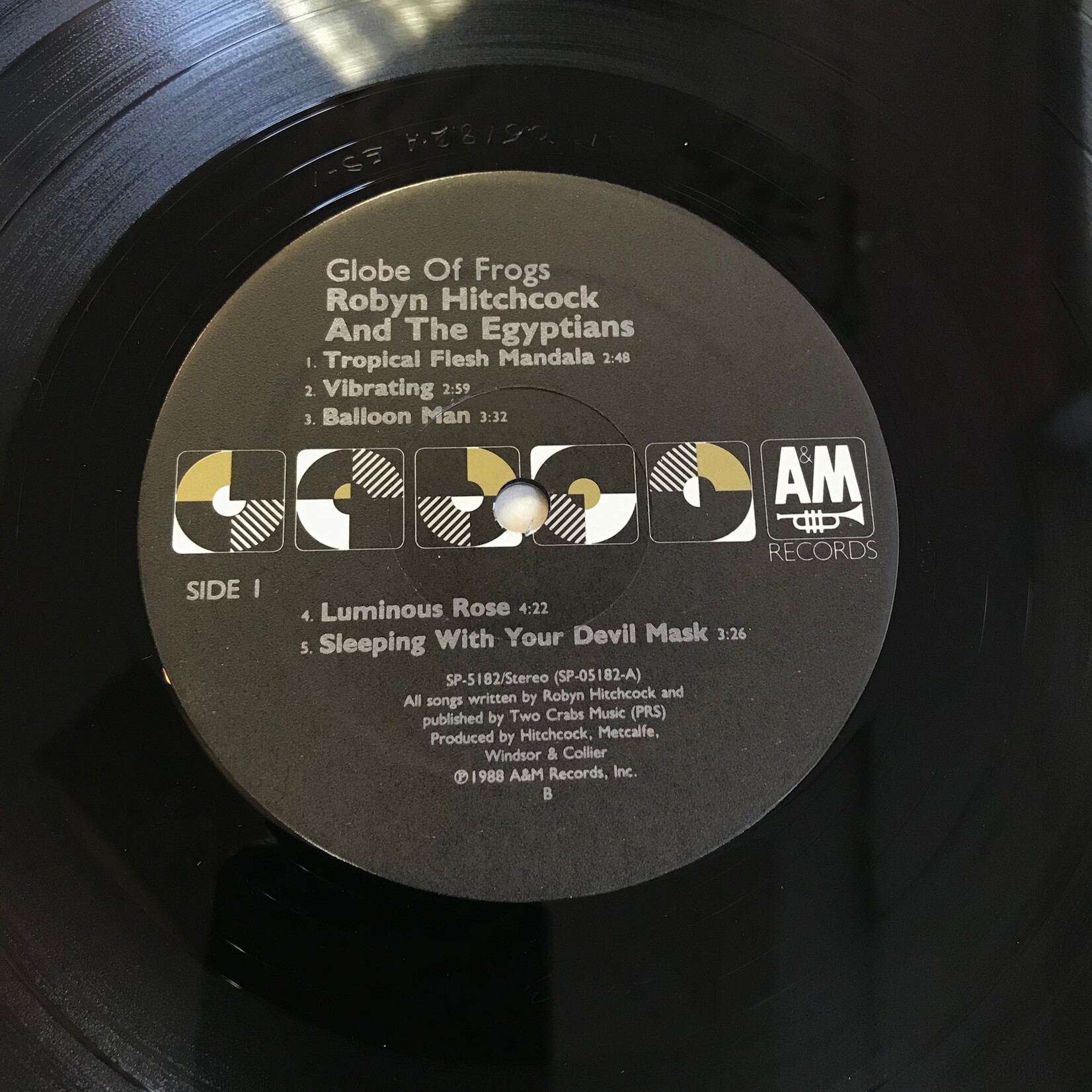 Robyn Hitchcock & The Egyptians - Globe Of Frogs - SP5182 - Vinyl LP (USED)