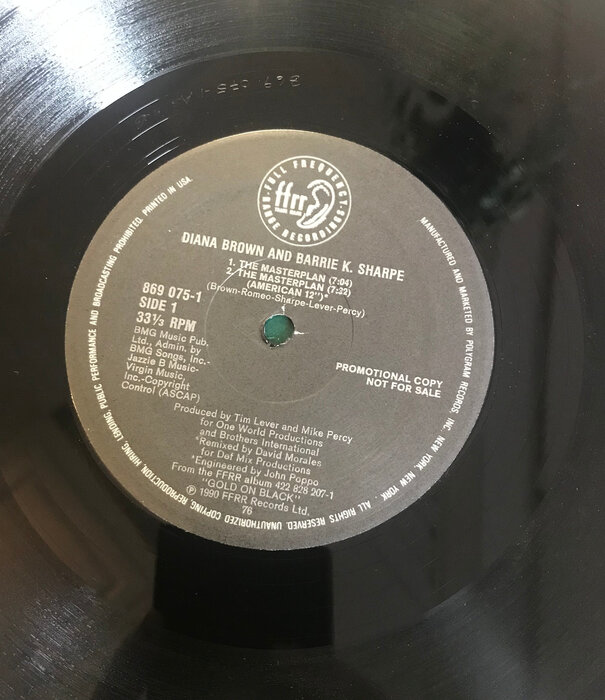 Diana Brown, Barrie K. Sharp - The Masterplan (PROMO) - 869075 - Vinyl 12-Inch Single (USED)