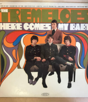Tremeloes - Here Comes My Baby - LN 24310 - Vinyl LP (USED)
