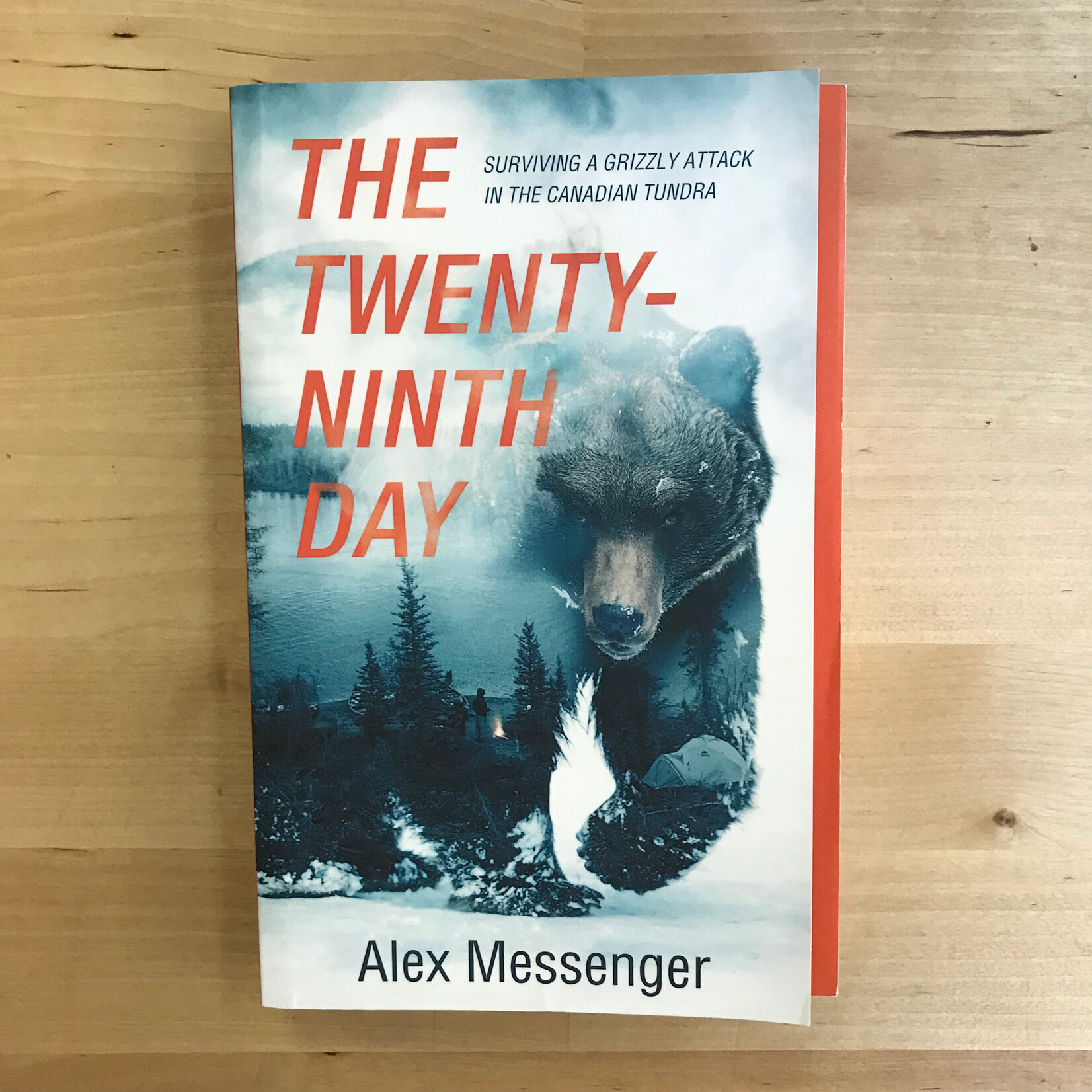 Alex Messenger - The Twenty-Ninth Day - Paperback (USED)