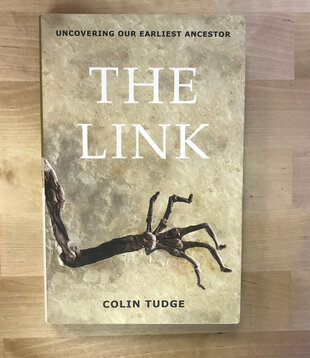 Colin Tudge - The Link - Hardback (USED)