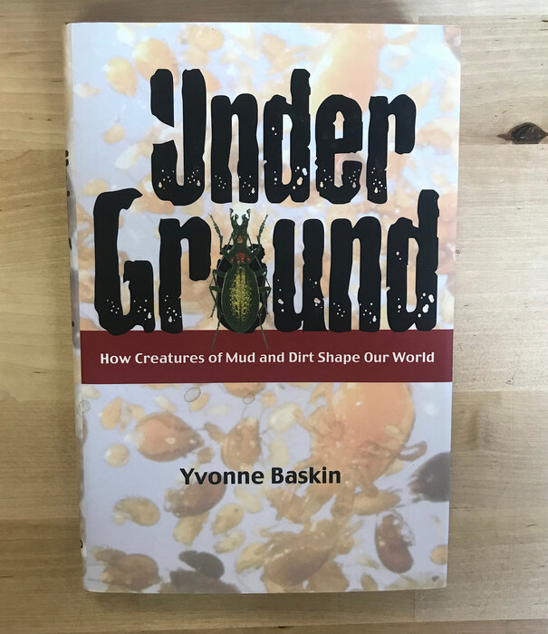 Yvonne Baskin - Under Ground - Hardback (USED)