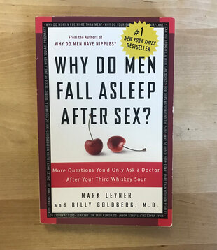 Mark Leyner - Why Do Men Fall Asleep After Sex? - Paperback (USED)