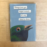 Weird - Magnet (NEW)