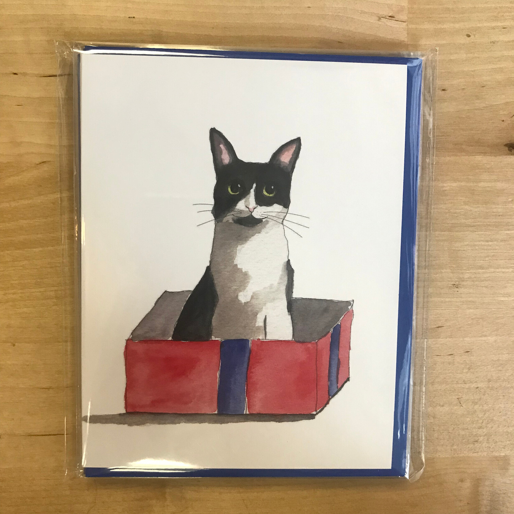 Box Cat - Greeting Card (NEW)
