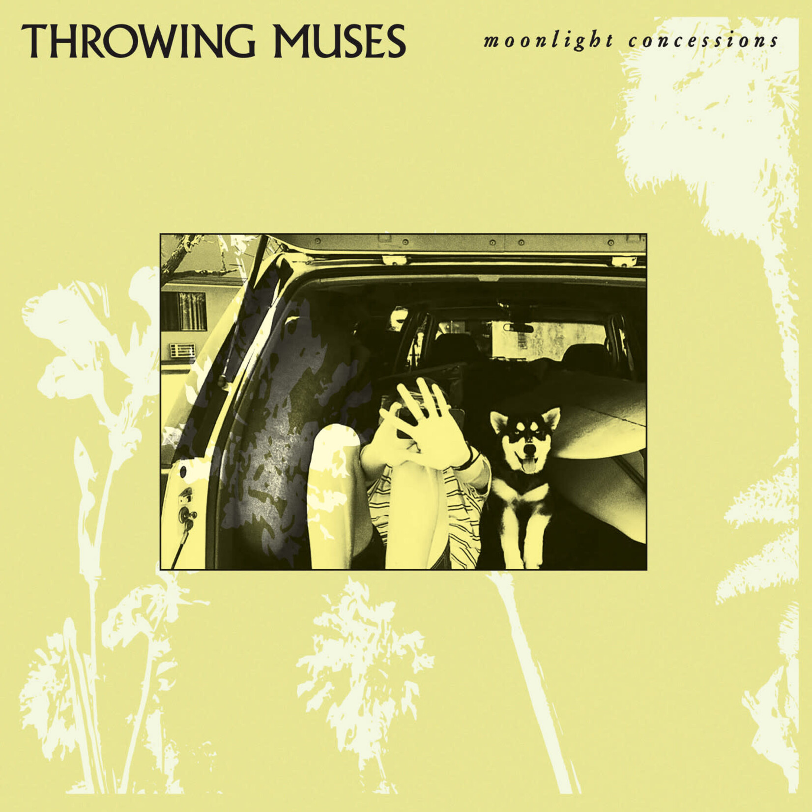 Throwing Muses - Moonlight Concessions (CREAM) - LP-FIRE-650C - Vinyl LP (NEW)