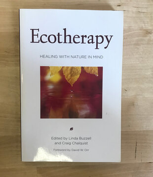 Linda Buzzell, Craig Chalquist (Editors) - Ecotherapy - Paperback (USED)