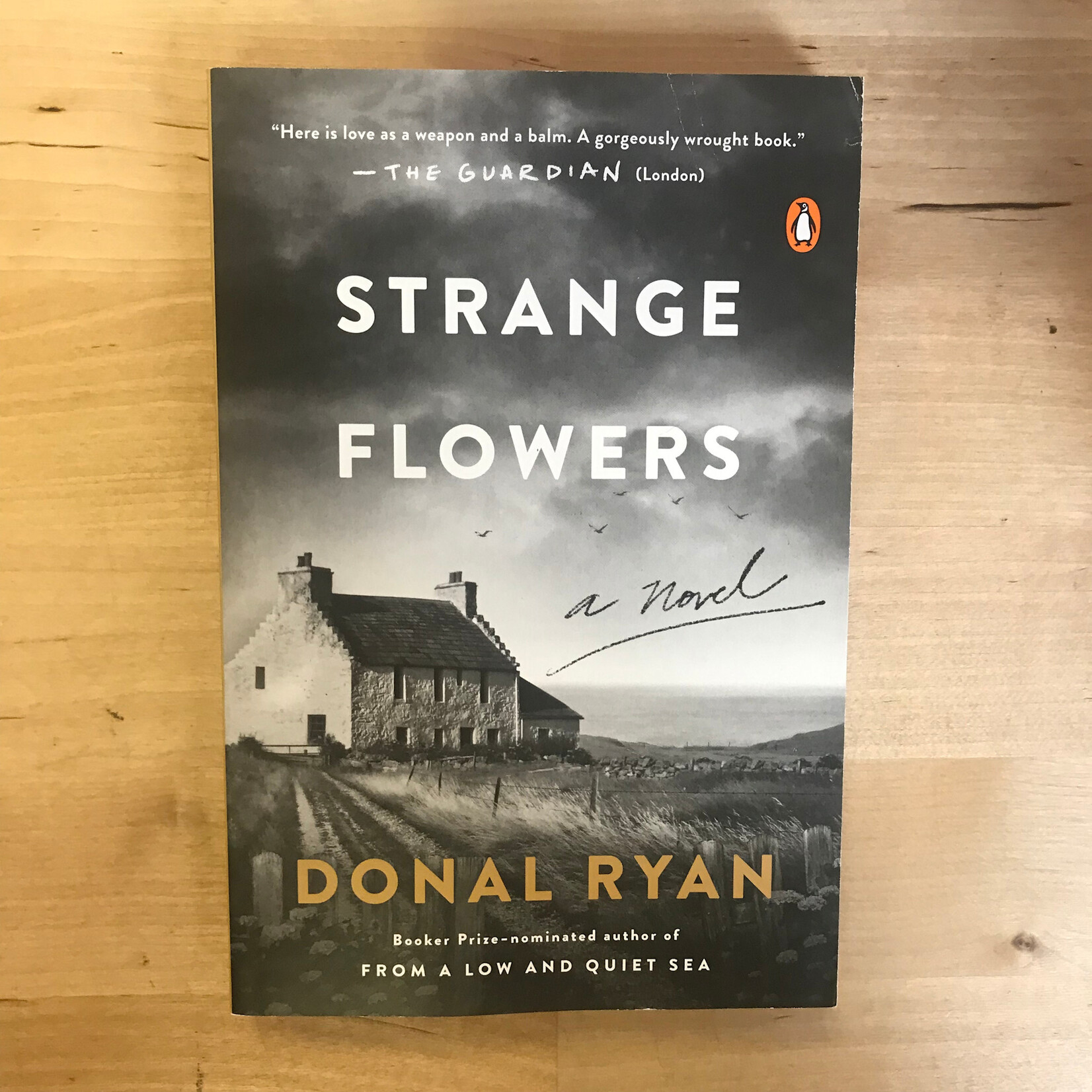 Donal Ryan - Strange Flowers - Paperback (USED)