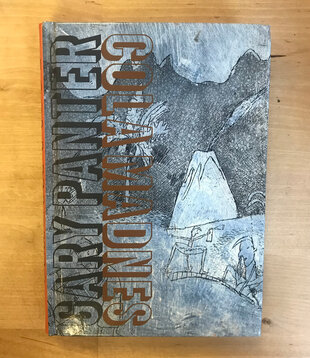 Gary Panter - Cola Madness (SIGNED) - Hardback (USED)