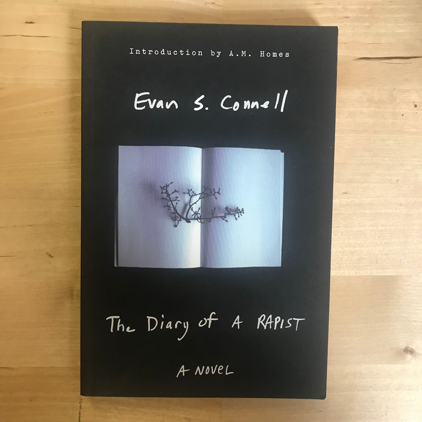 Evan S. Connell - The Diary Of A Rapist - Paperback (USED)