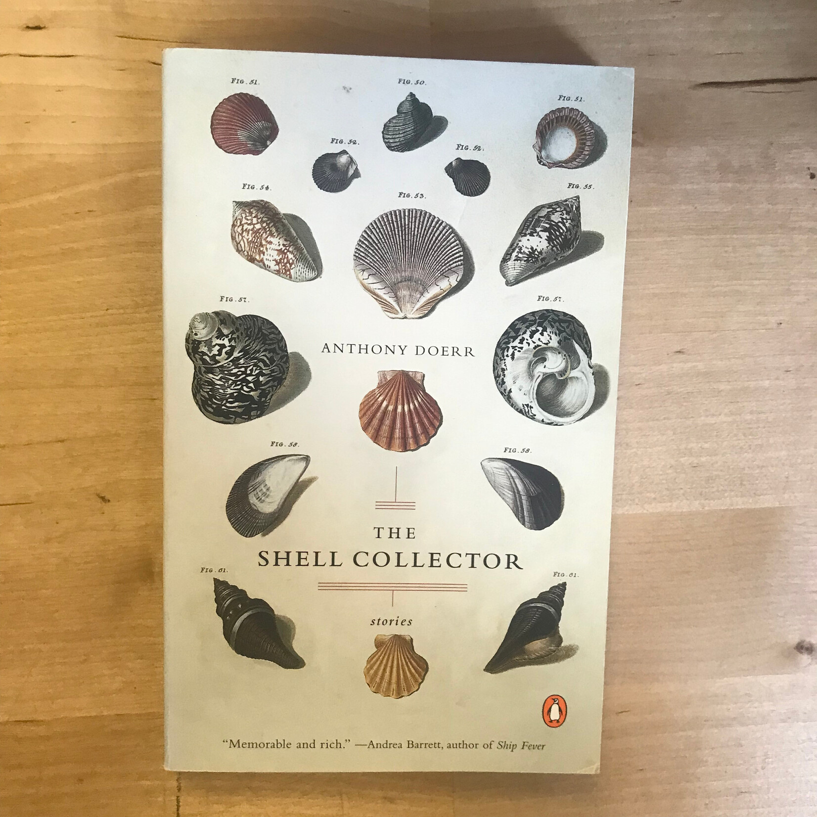 Anthony Doerr - The Shell Collector - Paperback (USED)