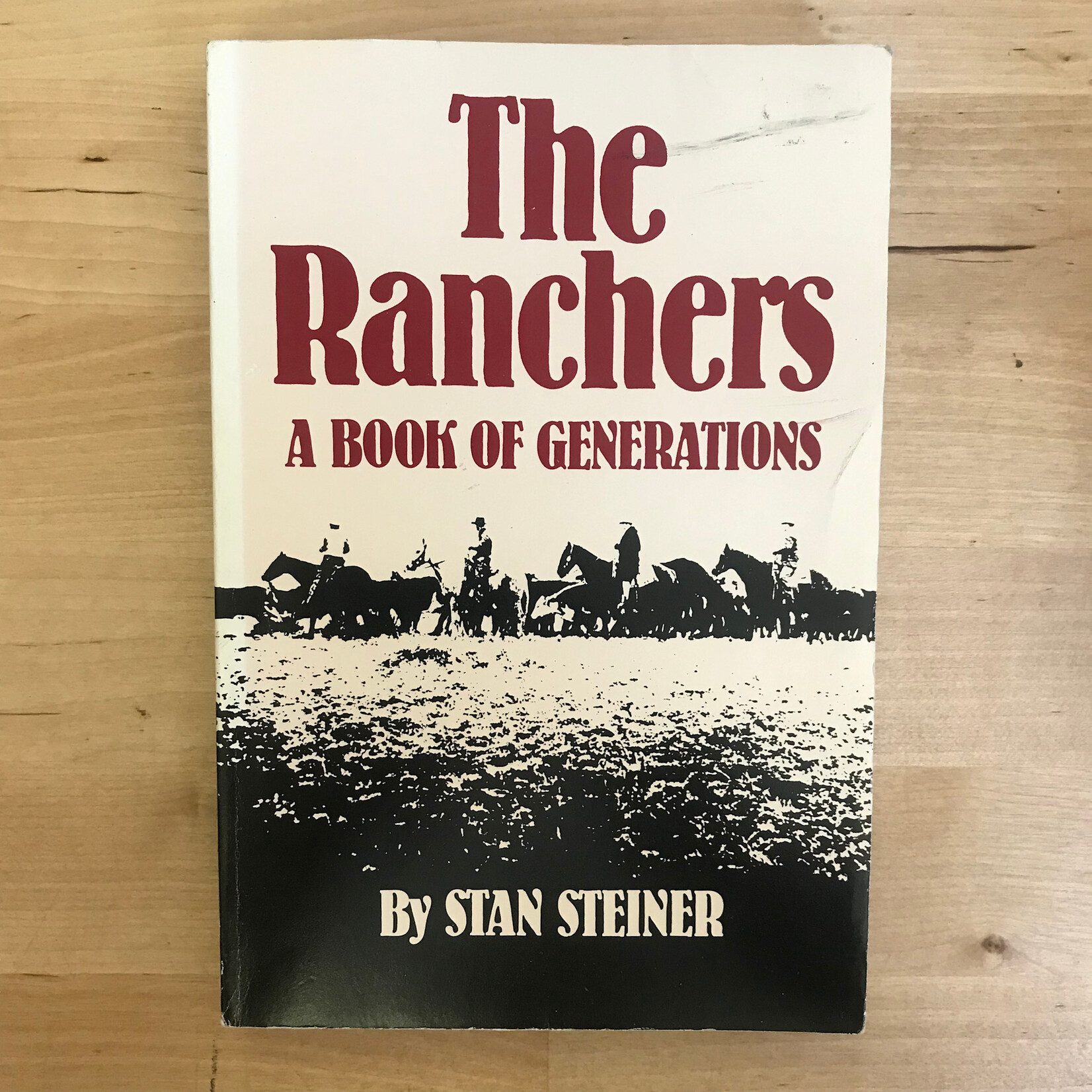 Stan Steiner - A Book Of Generations - Paperback (USED)
