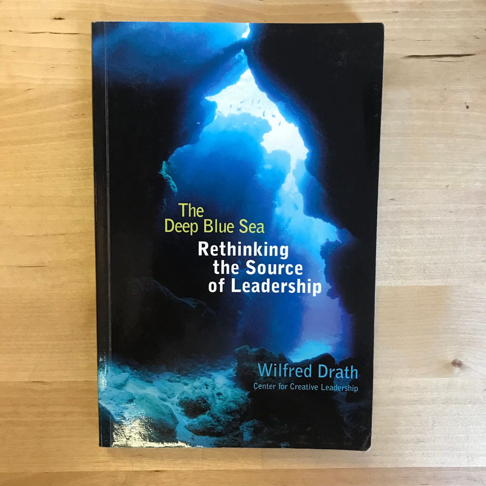 Wilfred Drath - The Deep Blue Sea - Paperback (USED)