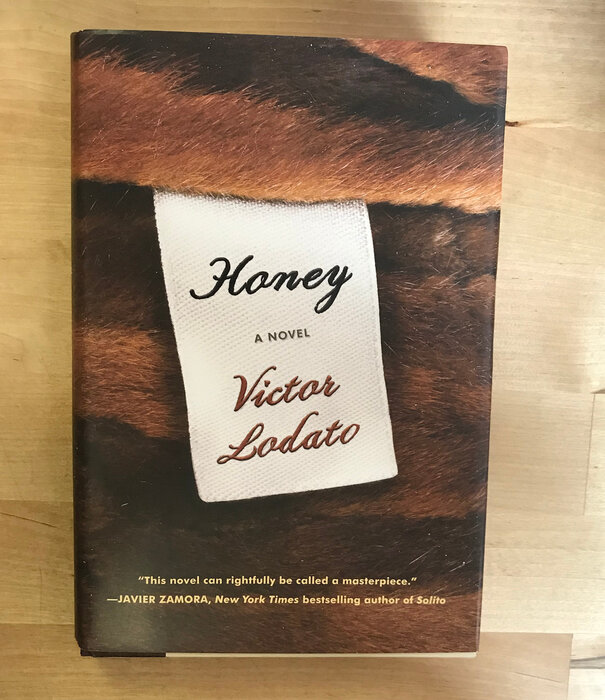 Victor Lodato - Honey - Hardback (USED)