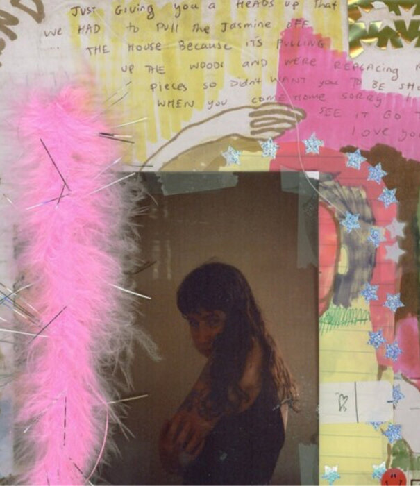 Wednesday - I Was Trying To Describe You To Someone - DEDO326 - Vinyl LP (NEW)