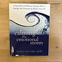 Sheri Van Dijk - Calming The Emotional Storm - Paperback (USED)