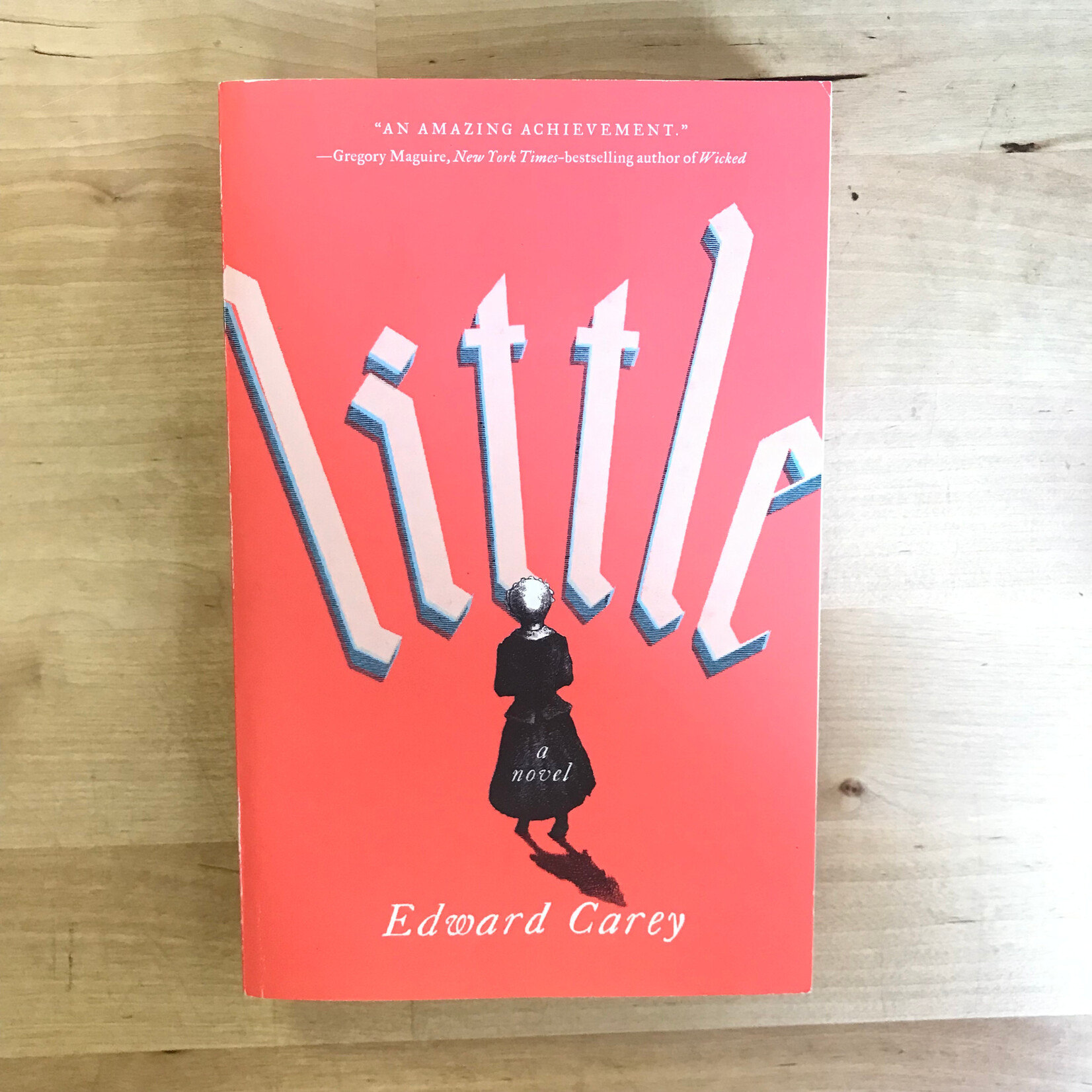 Edward Carey - Little - Paperback (USED)