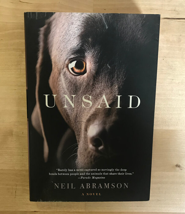 Neil Abramson - Unsaid - Paperback (USED)