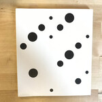 Bridget Riley - Works 1960-1966 - Paperback (USED)