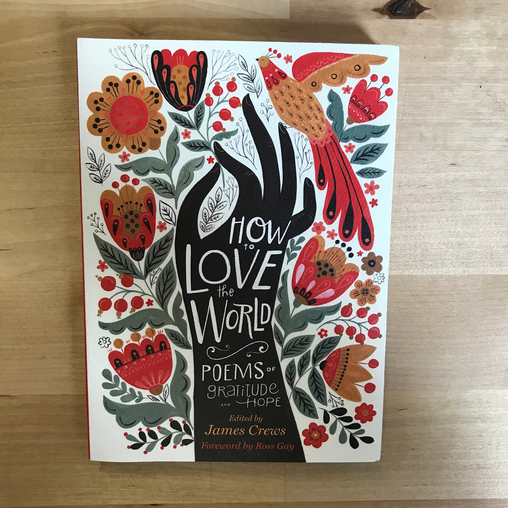 James Crews (Editor) - How To Love The World: Poems Of Gratitude And Hope - Paperback (USED)