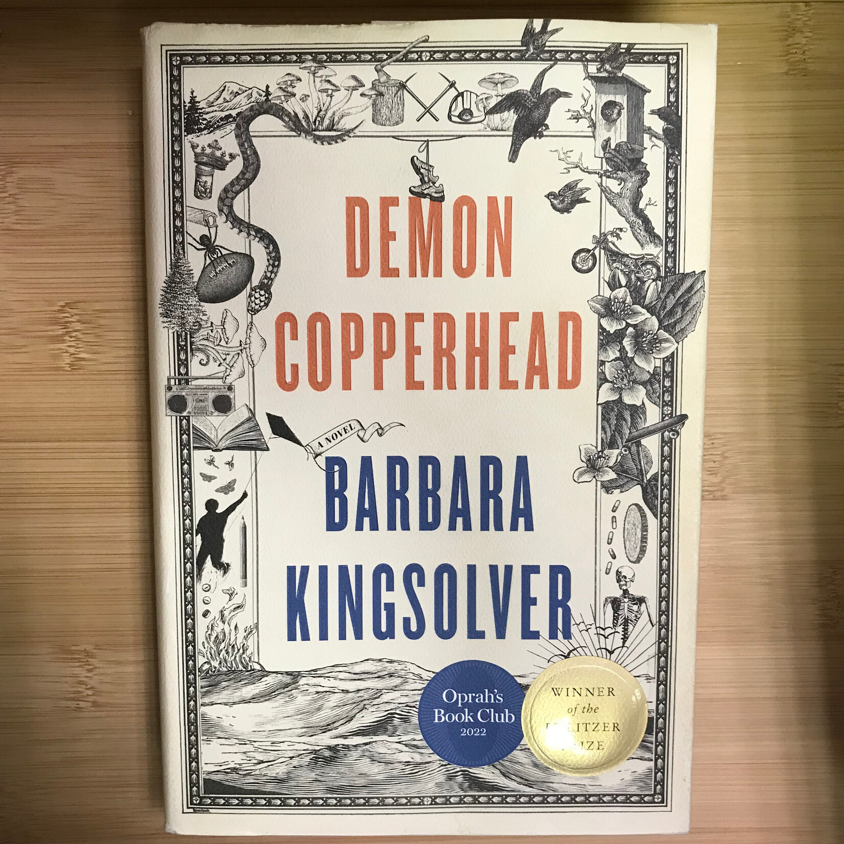 Barbara Kingsolver - Demon Copperhead - Hardback (USED)