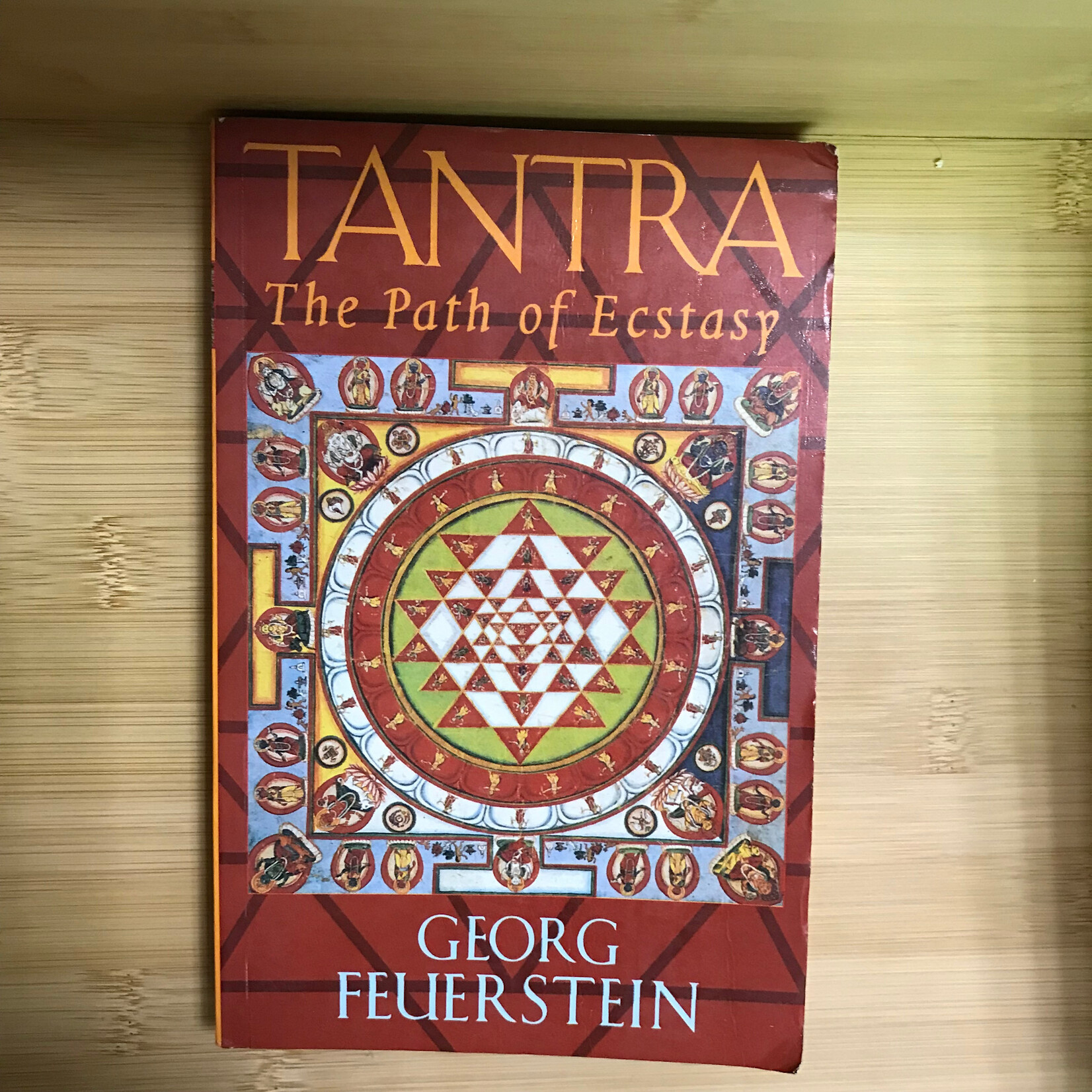 Georg Feuerstein - Tantra: The Path To Ecstasy - Paperback (USED)