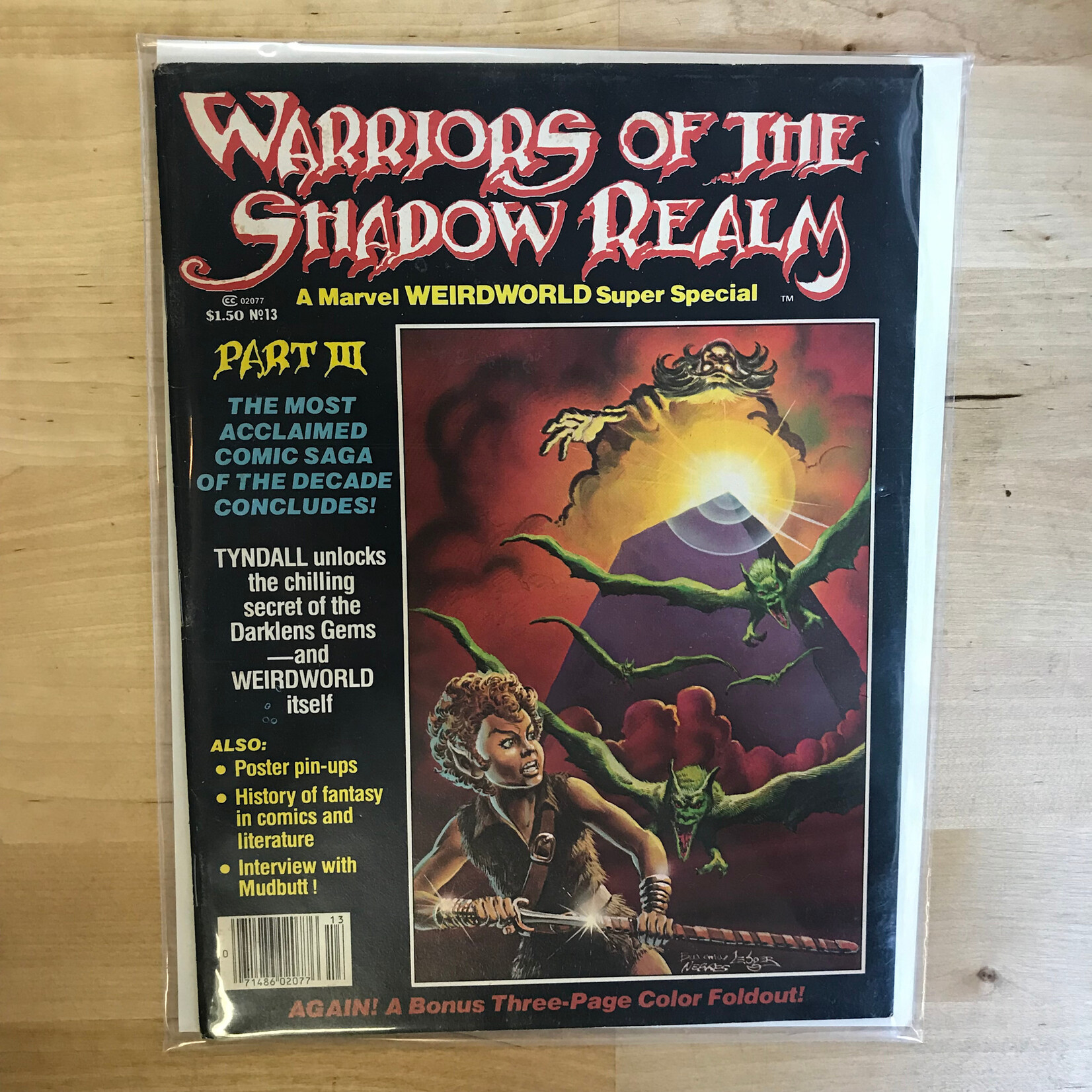 Marvel Comics Super Special - Warriors of The Shadow Realm - Vol. 1 No. 13 (1979) - Comic Book