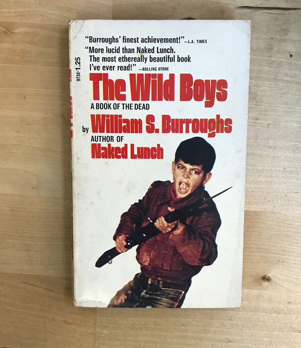 William S. Burroughs - The Wild Boys (1st Dell) - Paperback MM (USED)