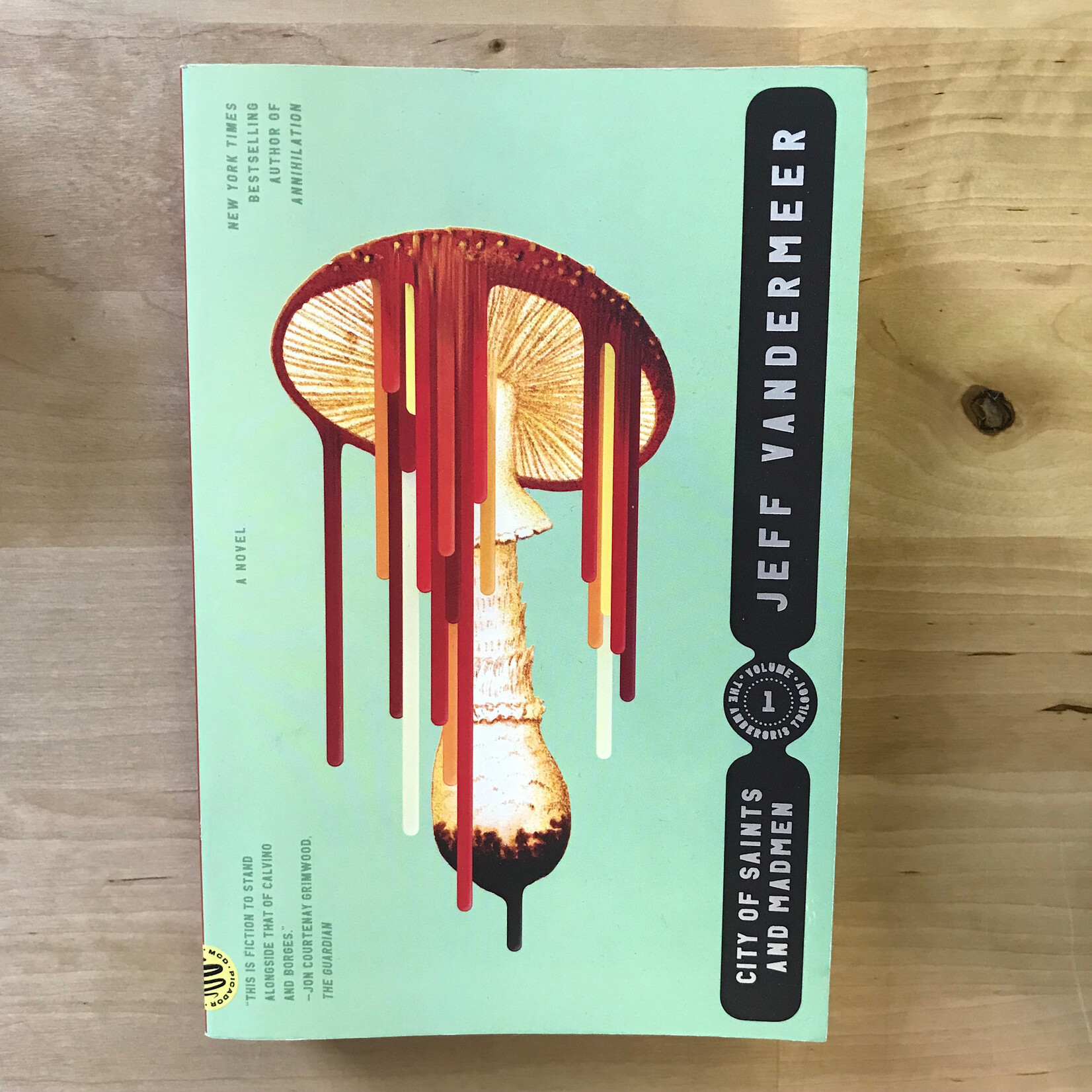 Jeff Vandermeer - City Of Saints And Maiden - Paperback (NEW)