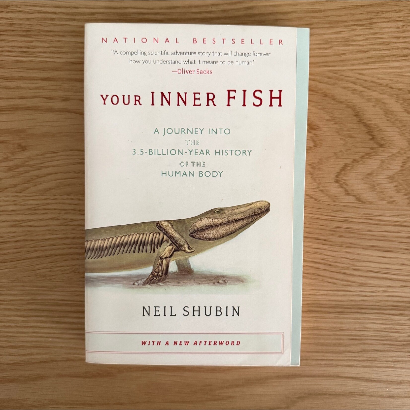 Neil Shubin - Your Inner Fish - Paperback (USED)