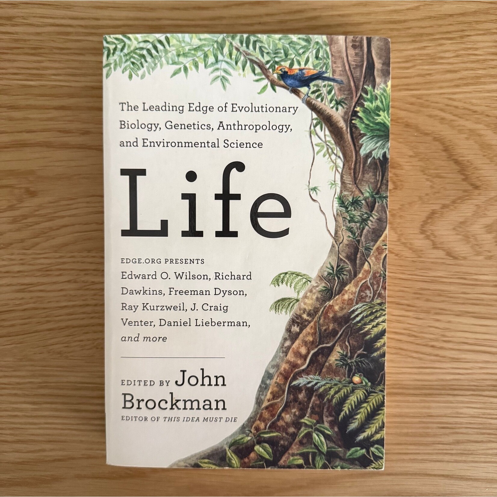 John Brockman (Editor) - Life - Paperback (USED)