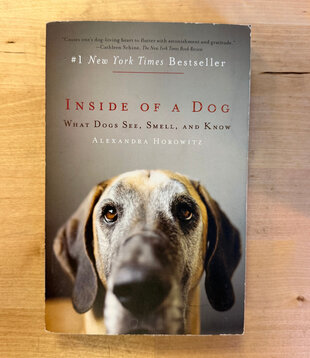 Alexander Horowitz - Inside Of A Dog - Paperback (USED)