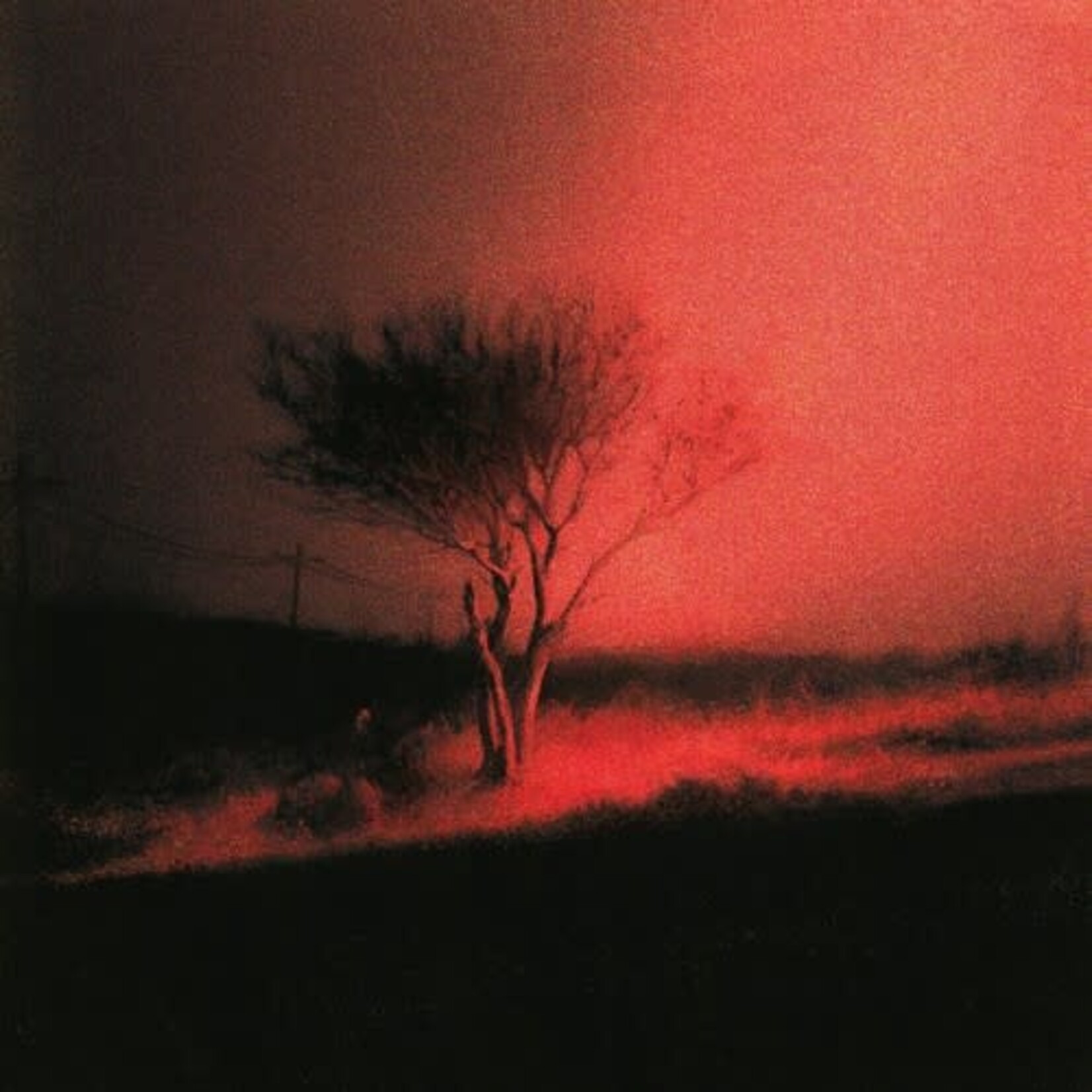 Joji - Piss In The Wind - PCEK4742828 - Vinyl LP (NEW)