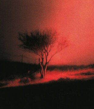 Joji - Piss In The Wind - PCEK4742828 - Vinyl LP (NEW)