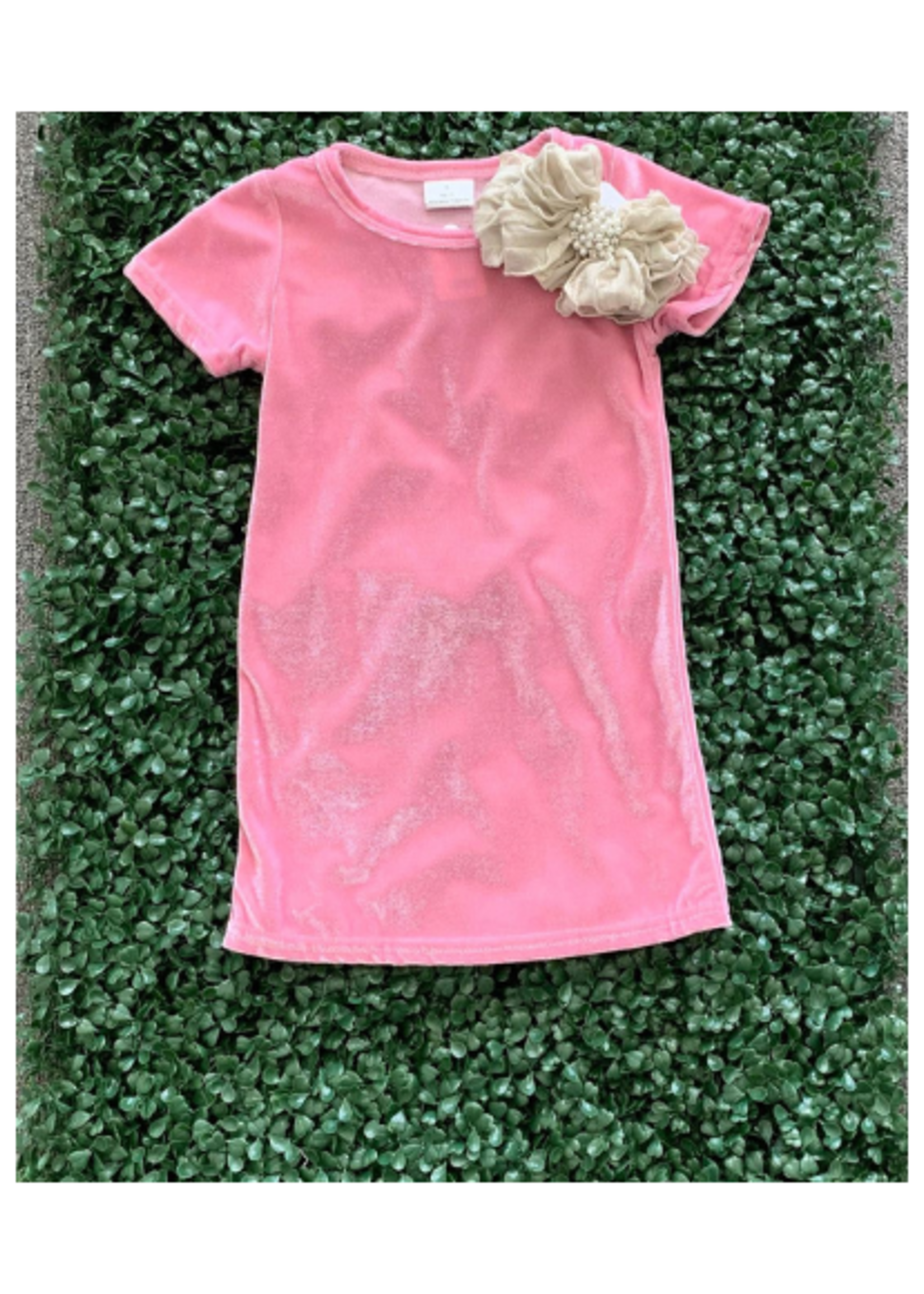 Short Sleeve Velvet Dress - Pink