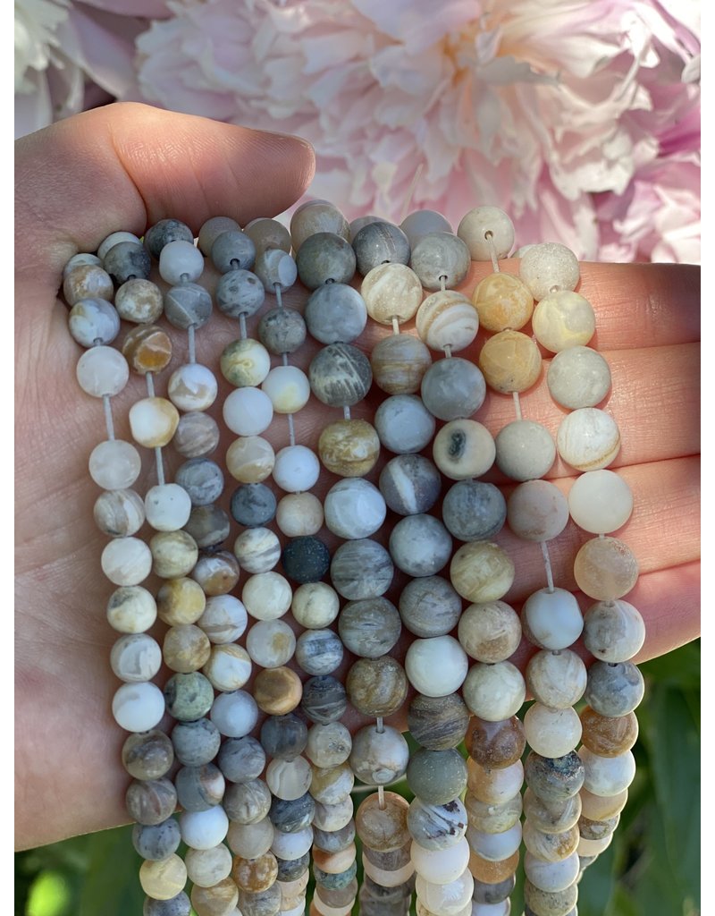 Bamboo Leaf Agate Beads Frosted/Matte 15" Strand 6mm/8mm
