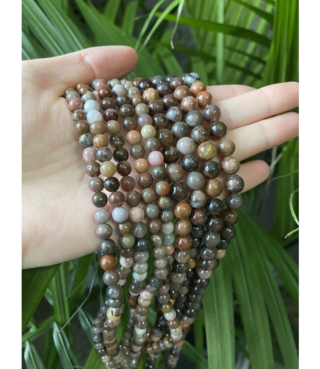 Petrified Wood Beads Polished 15" Strand 6mm 8mm