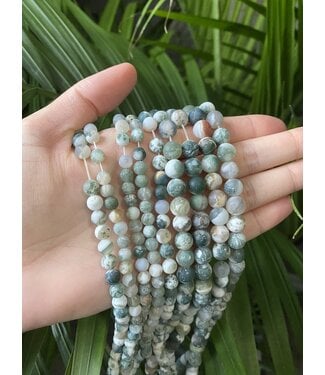 Tree Agate Beads Frosted/Matte 15" Strand 4mm 6mm 8mm