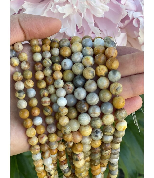 Crazy Lace Agate Beads Polished
